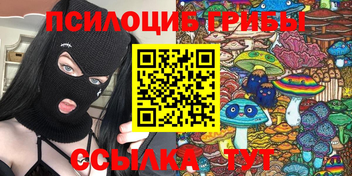Гурьевск  Галлюциногенные грибы GOLDEN TEACHER  купить наркотики сайты  Псилоцибиновые грибы Psilocybe  Вход с VPN 